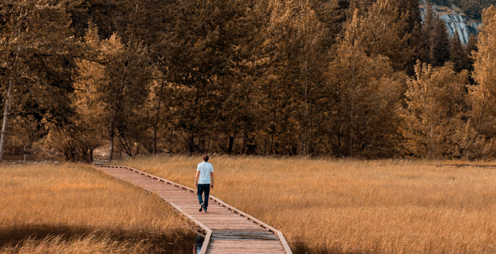 Eén-op-één Coaching voor Beslissers