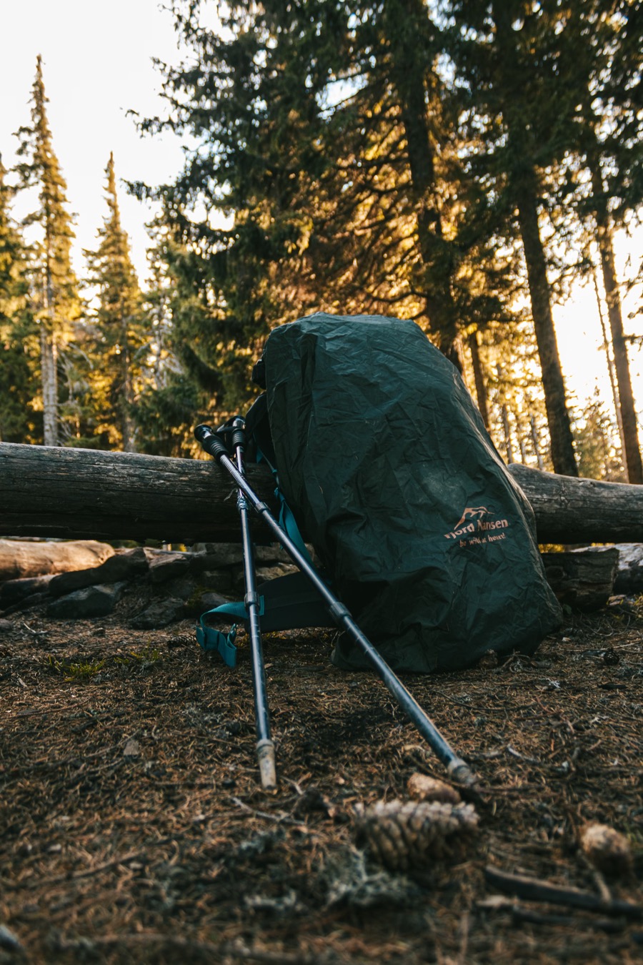 Eén-op-één Coaching voor Beslissers